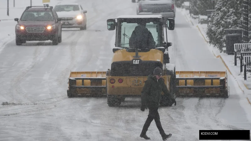 Cover Image for Meridian Hill Park Declared a Winter Storm Brings Deadly Conditions