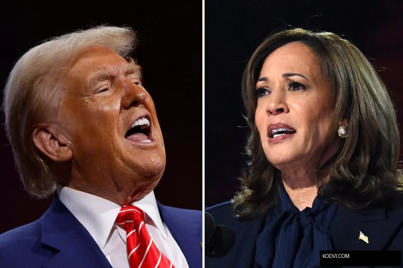 Cover Image for Donald Trump’s victory certified by his defeated rival Kamala Harris